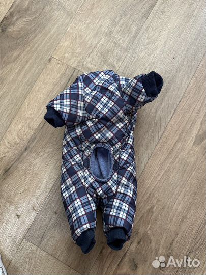 Одежда для собак