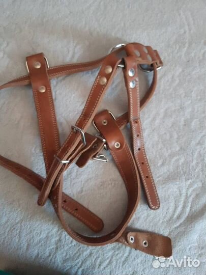 Упряжка для собаки