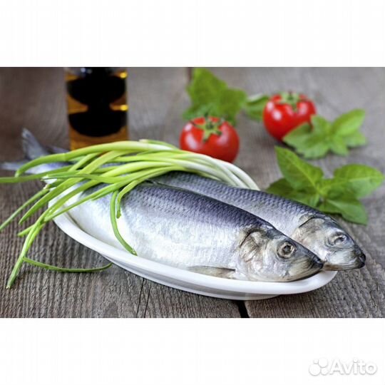 Сельдь тихоокеанская свежемороженая 22 кг брикет