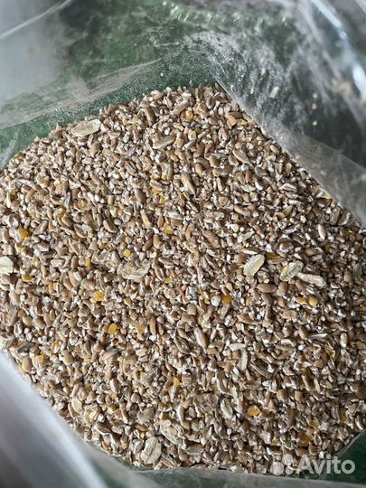 Каша (смесь круп)