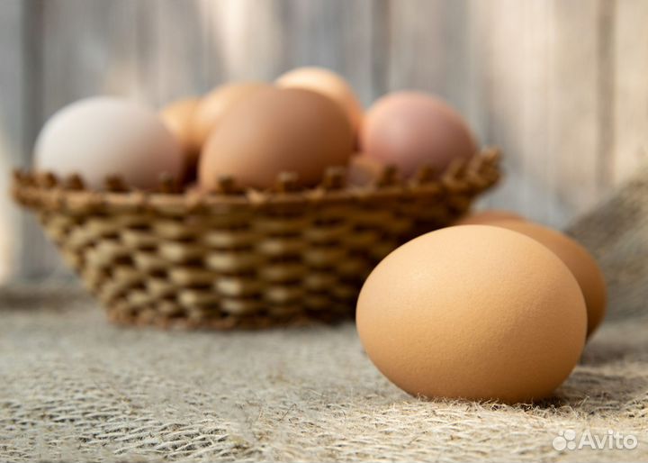 Сортировщики палетов для яиц,вахта,жилье,питание