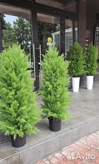 Искусственная Туя