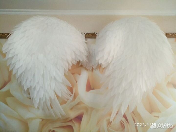 Крылья Ангела в аренду