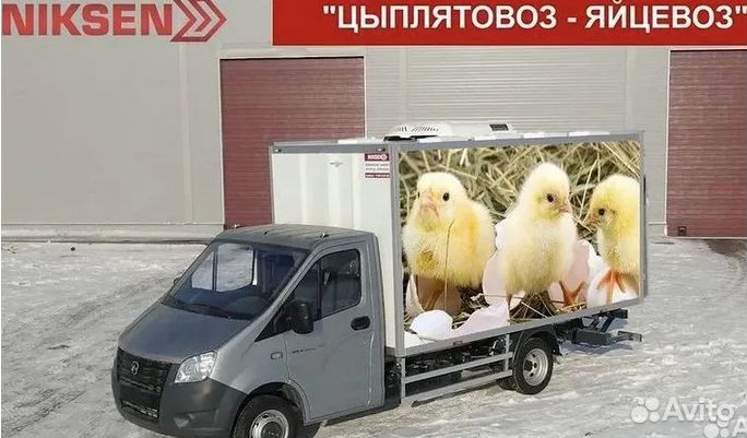 Цыплятовозы - Разработка, проектирование (завод