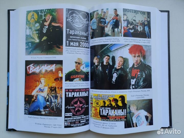 Дмитрий Спирин - Тупой панк-рок для интеллектуалов