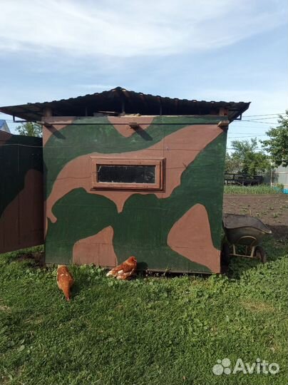 Будка пасечника мобильна