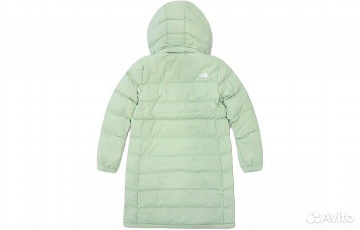 THE north face Down Jacket Women's Green (L)(89)