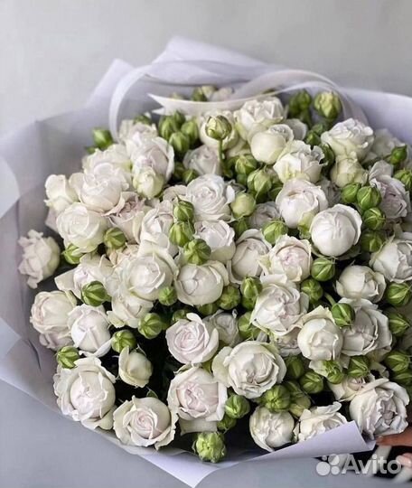 Букет из кустовых пионовидных роз Доставка