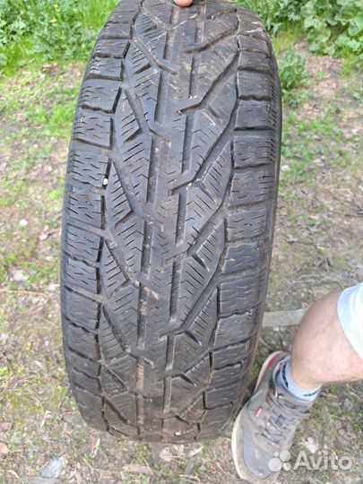 Kormoran Winter S100 6/10 R10 28K