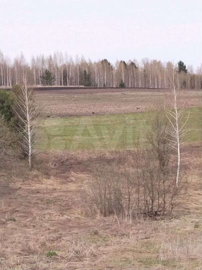 Участок 6 га (СНТ, ДНП)