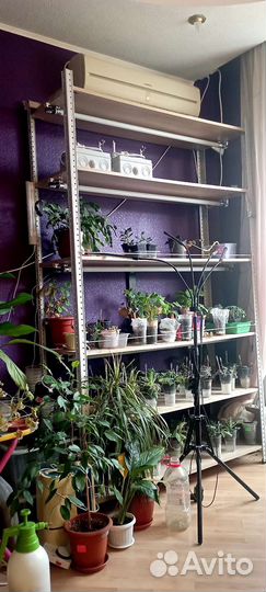 Стеллаж для цветов