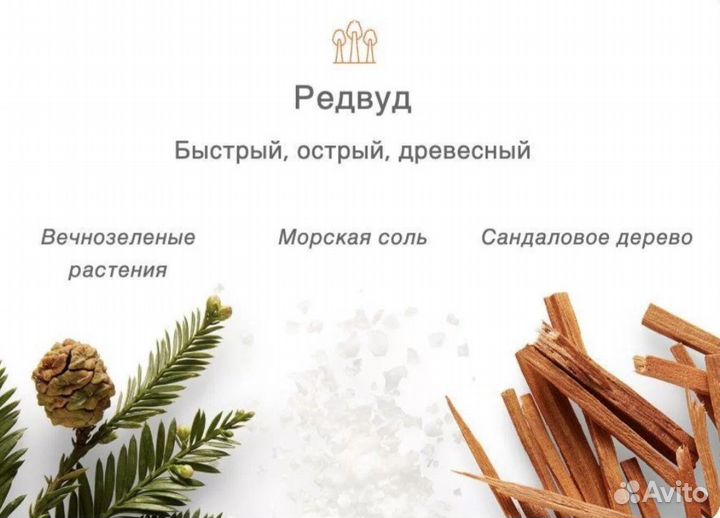 Дезодоранты Harry’s без алюминия из США redwood