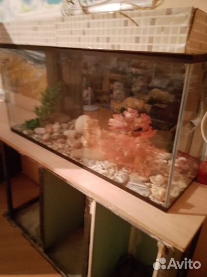 Продаю аквариум на 100 Л