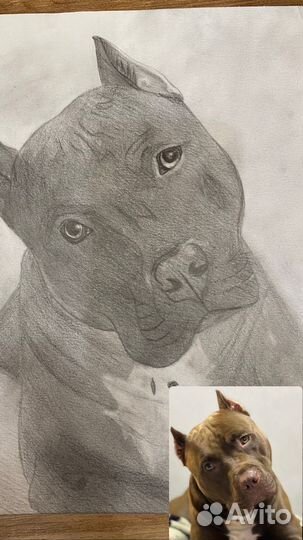 Рисую на заказ карандашом