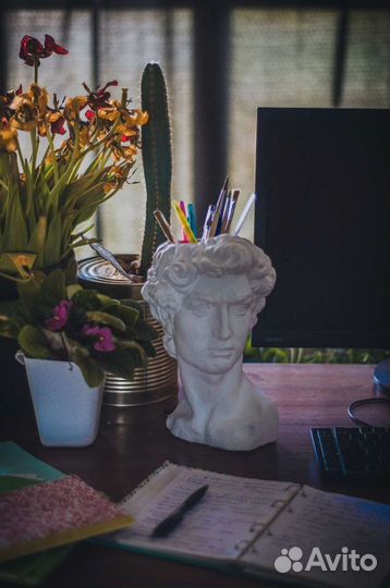 Бюст голова-кашпо Давида
