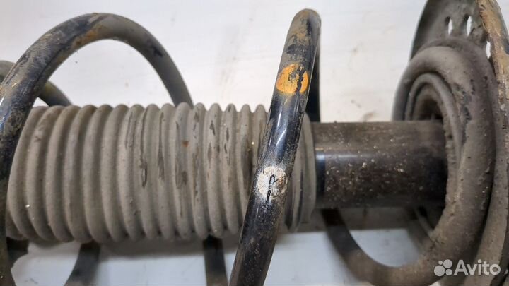 Амортизатор подвески Nissan Juke, 2011