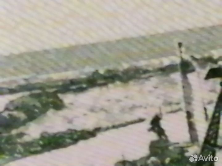 Купюра 5 рублей 1997 года со всадником