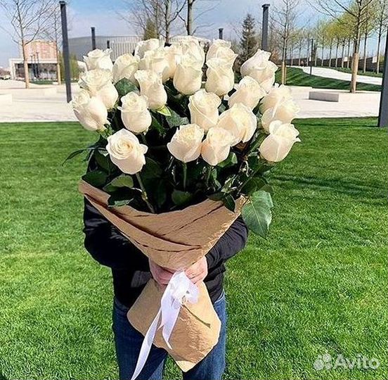 101 роза цветы букеты доставка 25 51 101 роза