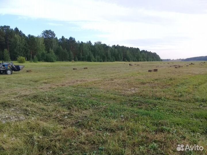 Продам сельскохозяйственный бизнес