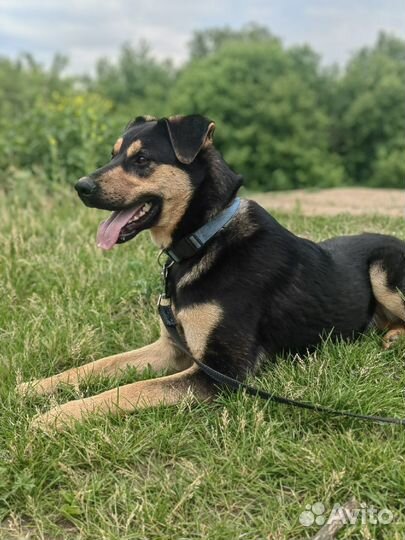 4 малыша из приюта мечтают о доме