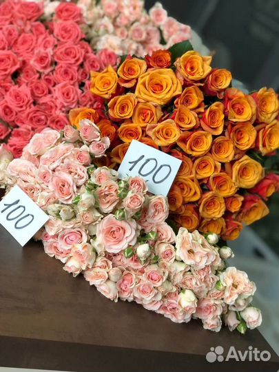 Кустовая роза Доставка Роза кустовая