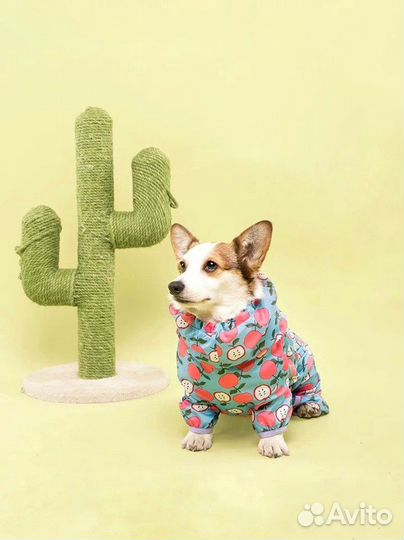 Дождевик для собак