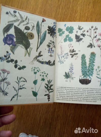 Книга траволечебник