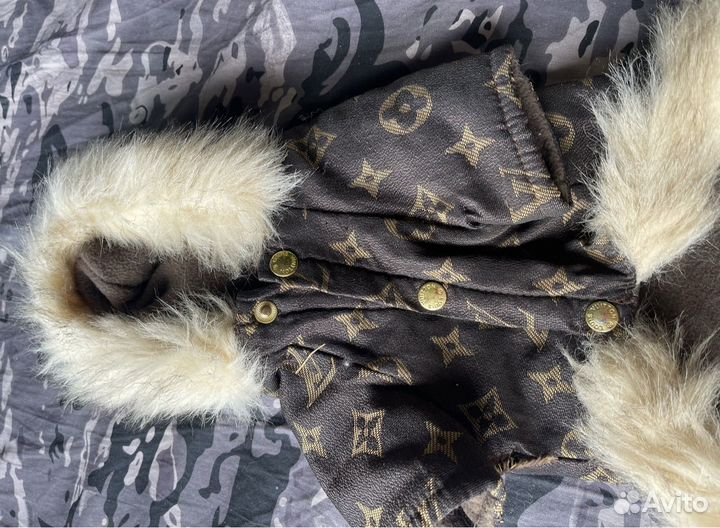 Костюм для собаки