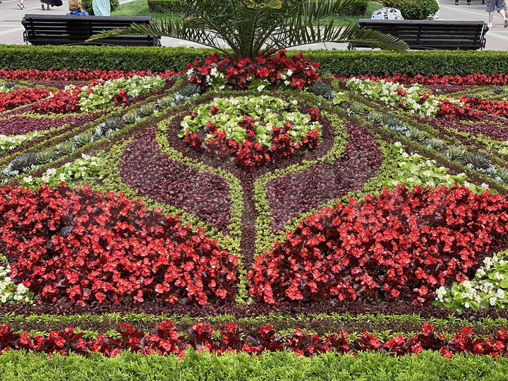 Участок 5 сот. (ИЖС)