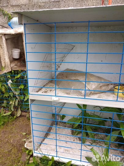 Клетка для кролика