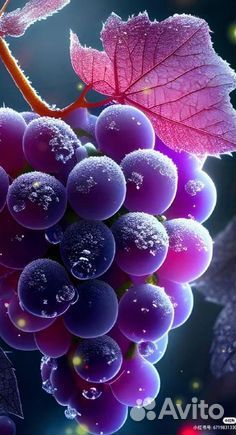 Картинки чередующиеся обои на телефон