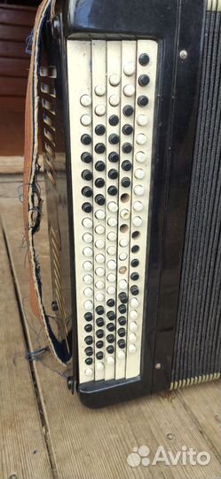 Баян тульский