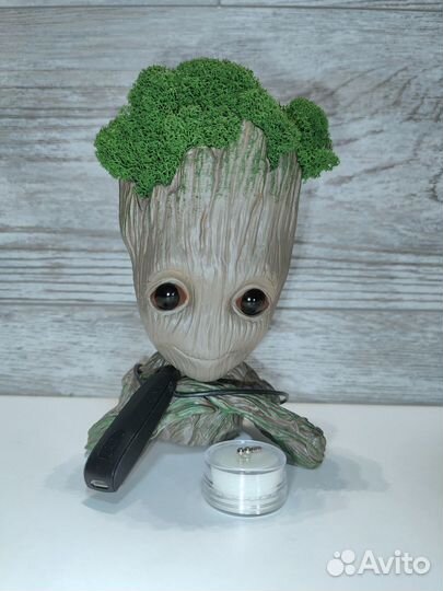 Микронаушник капсула/магнит аренда