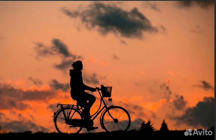 Велокурьер по доставке