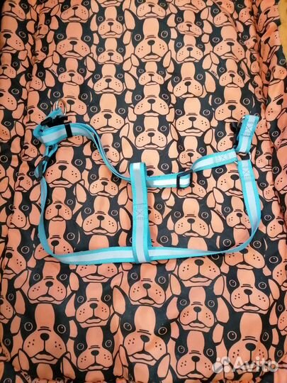 Собачая шлейка