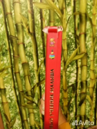 Первый учебник малыша и книжки от 1 года пакетом