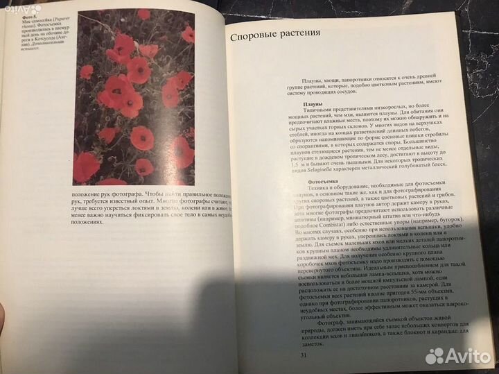 Книги фотографирование живой природы