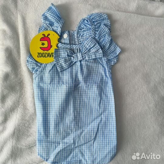 Одежда для маленькой собачки