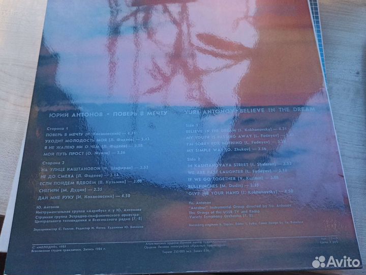 Виниловые пластинки