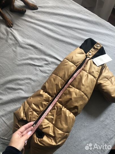 Комбинезон для собаки