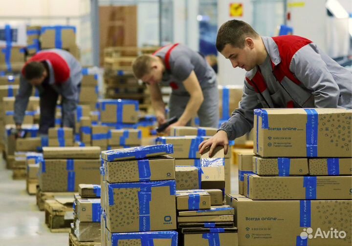 Грузчик на склад с ежедневной оплатой