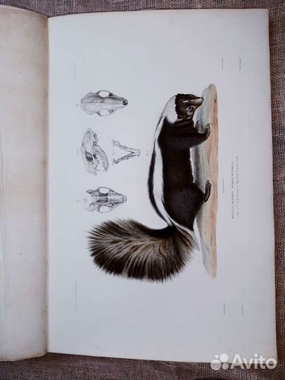 Антикварная книга в единственном экземпляре