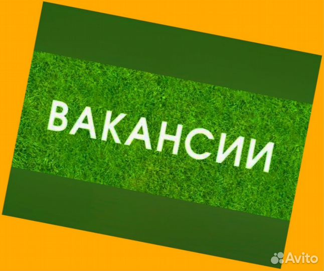 Кладовщик Без опыта Выплаты каждую неделю Одежда бесплатно