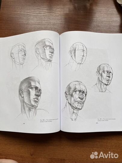 Основы учебного академического рисунка