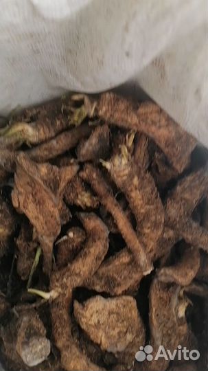 Корень хрена