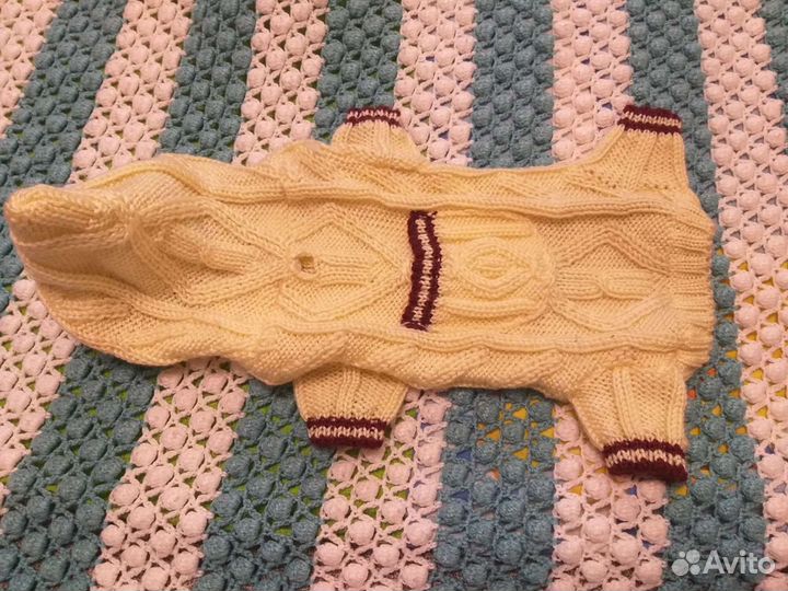 Новый комбез на маленькую собачку