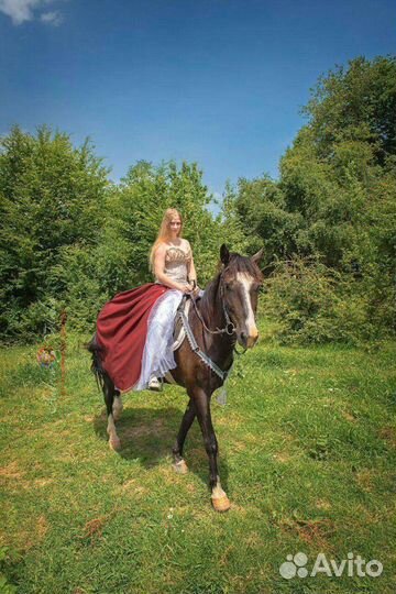 Конные прогулки