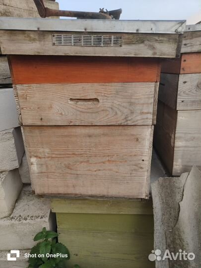 Улий для пчел новые