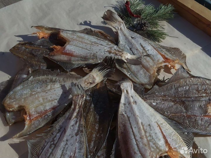 Вяленая камбала из мурманска всех размеров