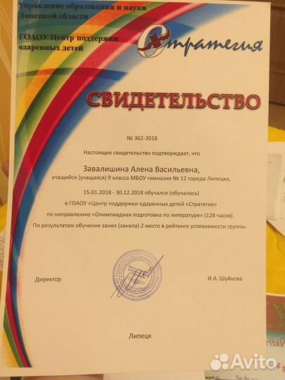 Пишу сочинения по русскому и литературе 1-11